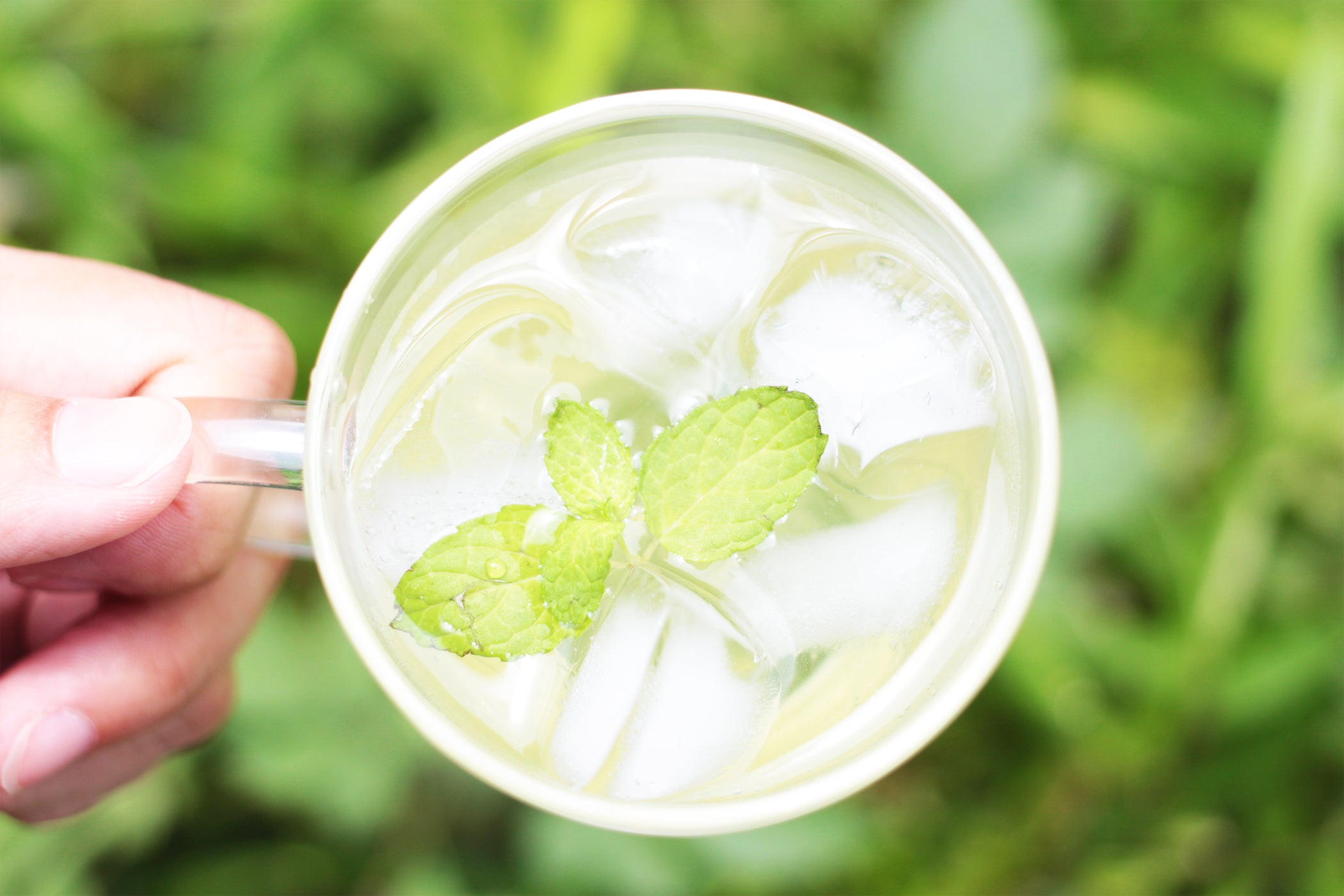 季節のかほり茶 ミントの煎茶 Nagomu