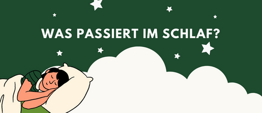 Infografik Was Passiert Im Schlaf Mysheepi 