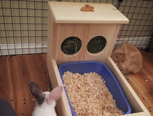 bunny litter box
