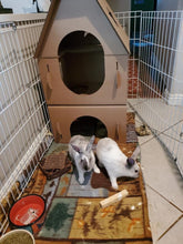Load image into Gallery viewer, Cardboard Bunny And Kitty Cat  Castle House
