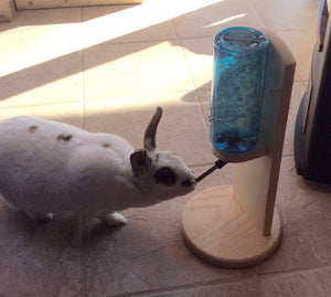 guinea pig bottle holder