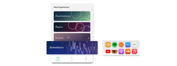 Muse Biofeedback