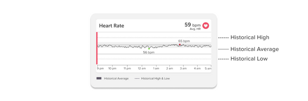 Muse Heart Meditation