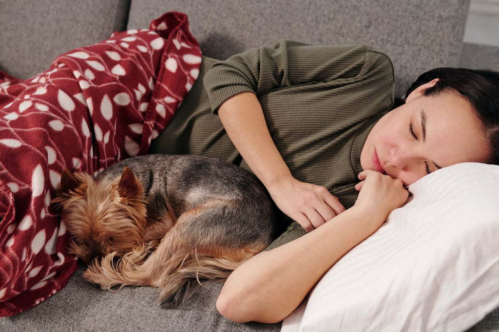 Woman napping with dog