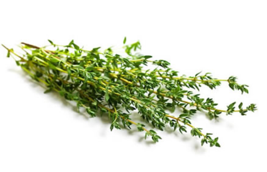 fresh thyme in hindi