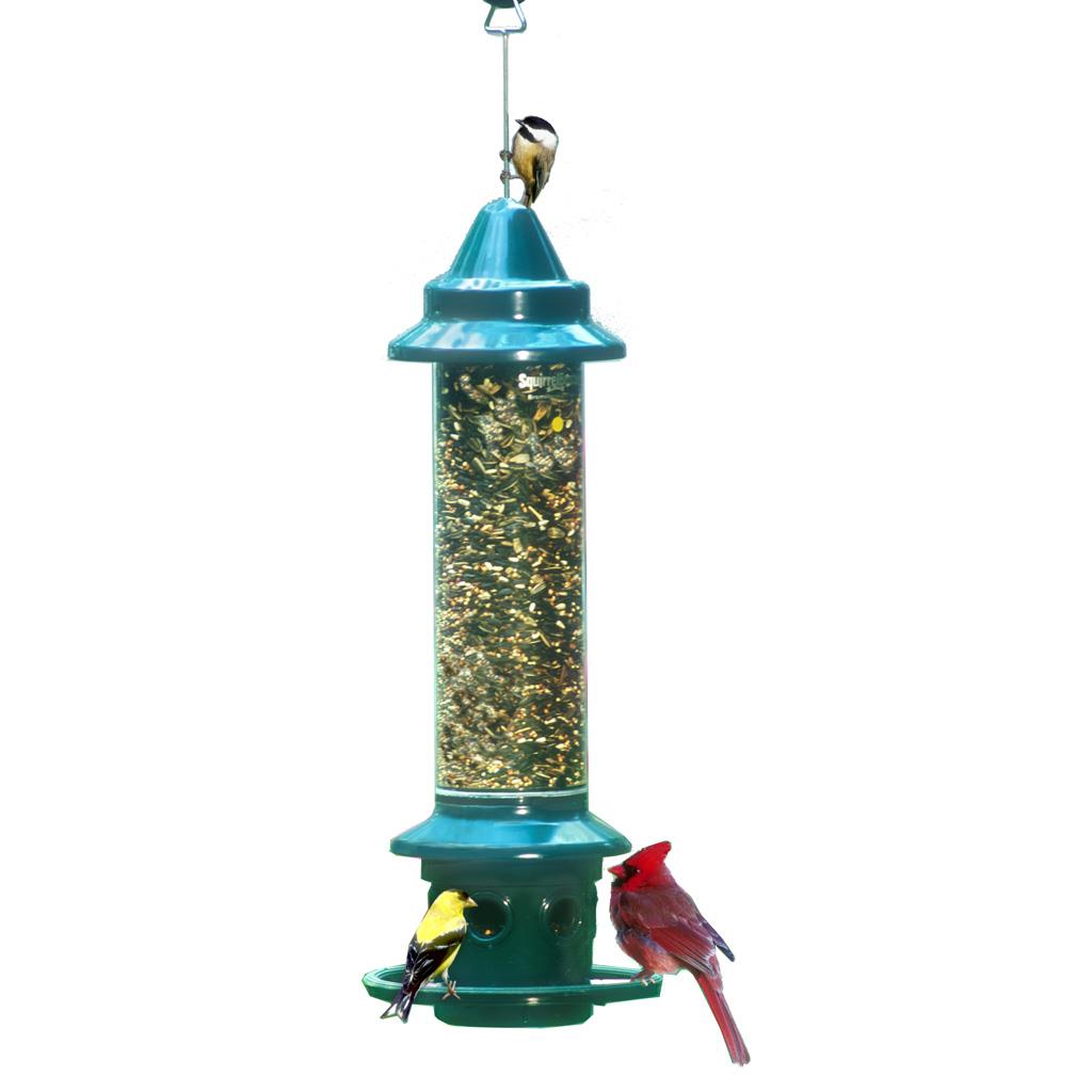 squirrel buster bird feeder canada