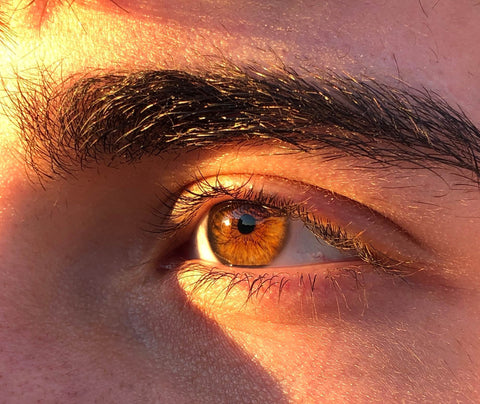 brown eyes with sunlight shining on them