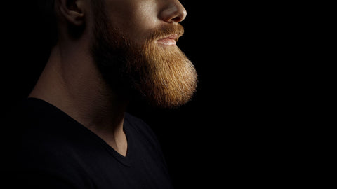 Long Beard Styles, Garibaldi Beard, The Unknown