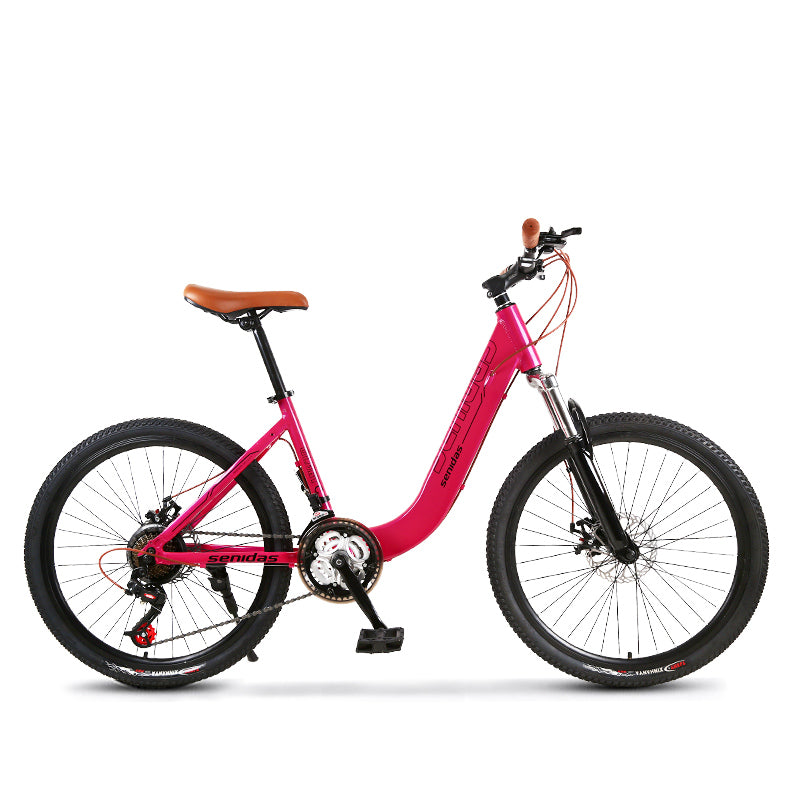 ladies bicycle 24 inch