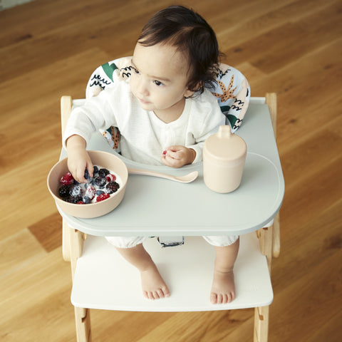 Food Tray