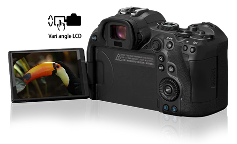 canon r6 especificaciones