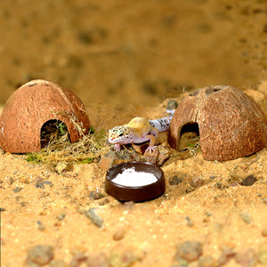 habistat leopard gecko bedding