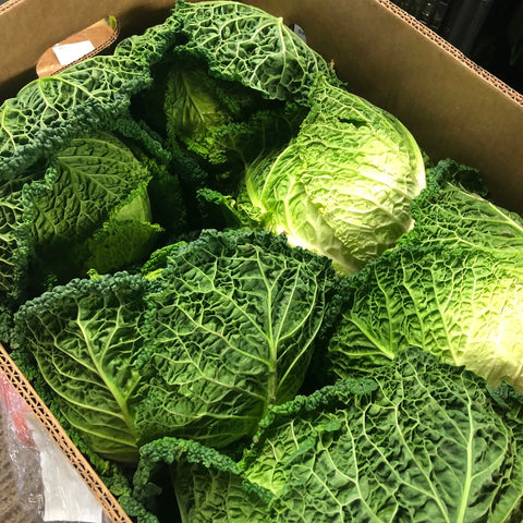 Savoy Cabbage each - Langthorpe Farm Shop