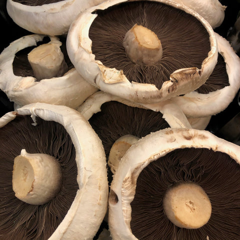 Flat mushrooms 250g - Langthorpe Farm Shop