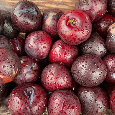 Plums 500g - Langthorpe Farm Shop