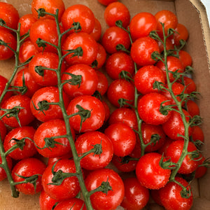 Vine Cherry Tomatoes 250g - Langthorpe Farm Shop