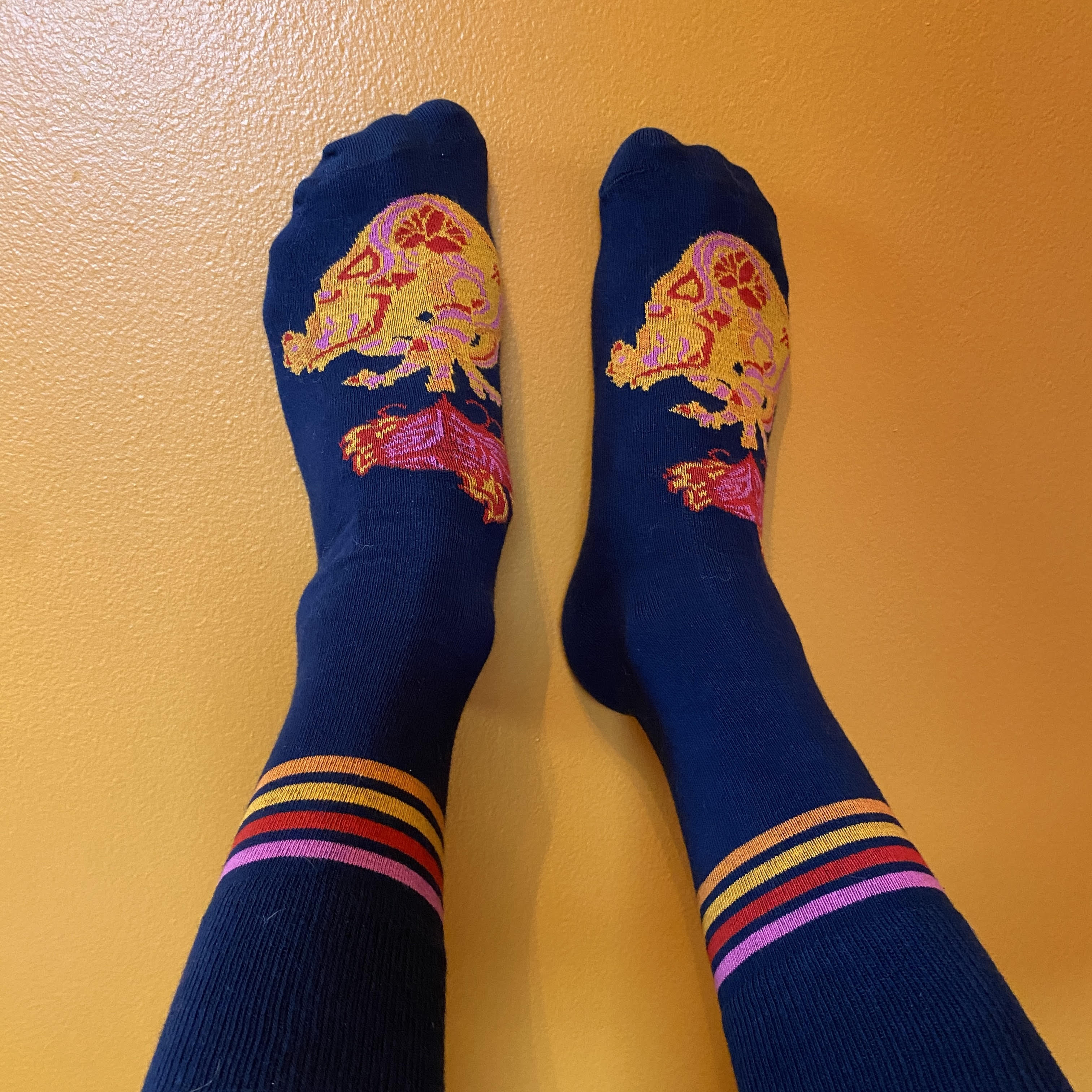 Sari Brown - Holy Broken Heart Socks