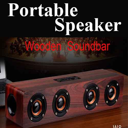 portable speaker with sub