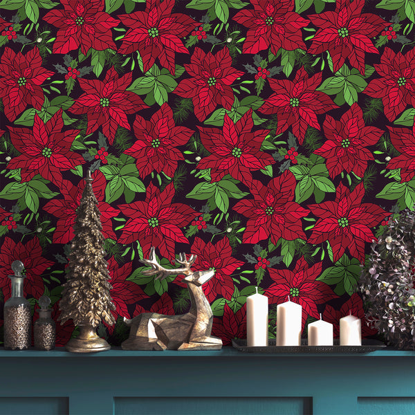 300 Free Poinsettia  Christmas Images  Pixabay