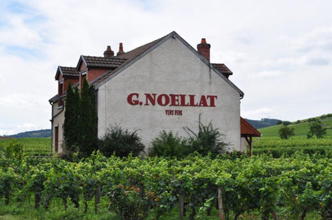 Domaine Georges Noëllat