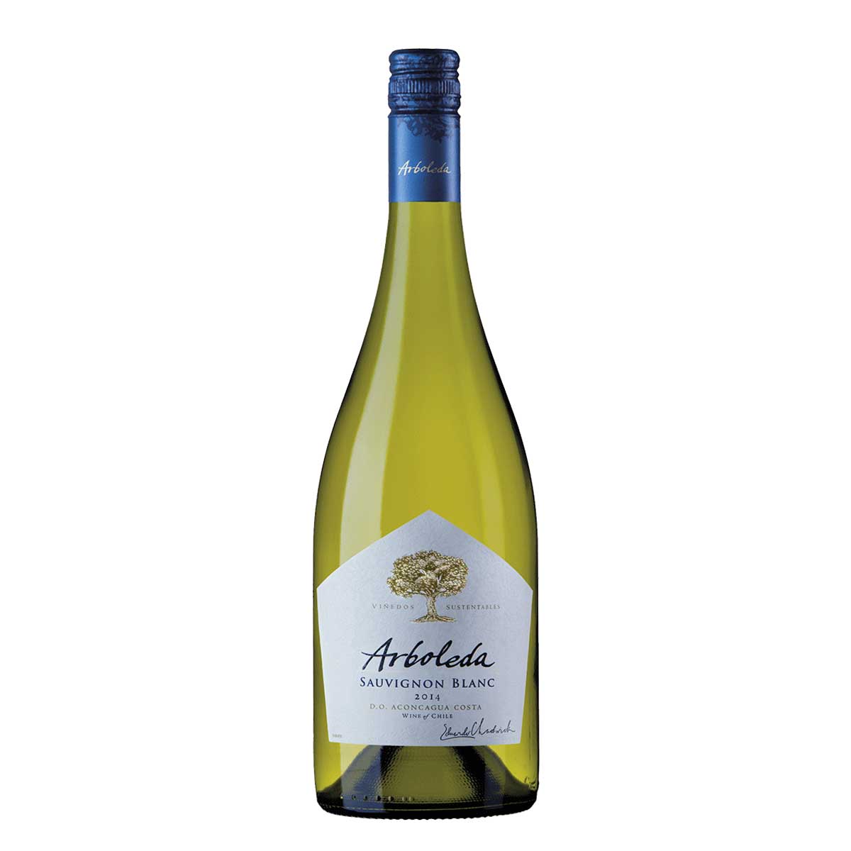 Arboleda Sauvignon Blanc 750ml