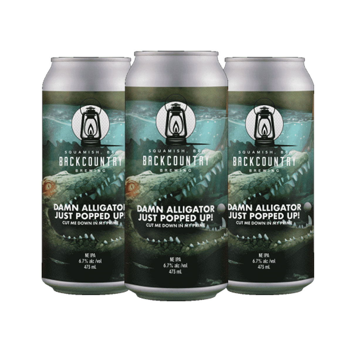 Backcountry Brewing 