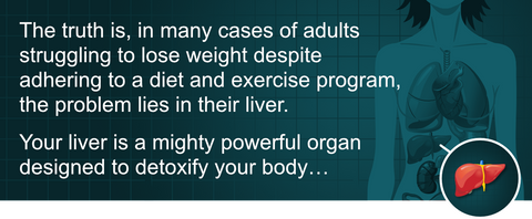 The truth is, in many cases of adults struggling to lose weight despite adhering to a diet and exercise program, the problem lies in their liver