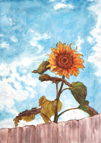 Sunflower Watercolour