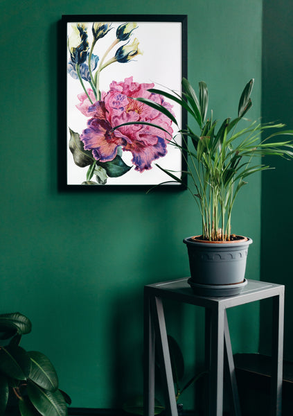 Archival Lisianthus Prints