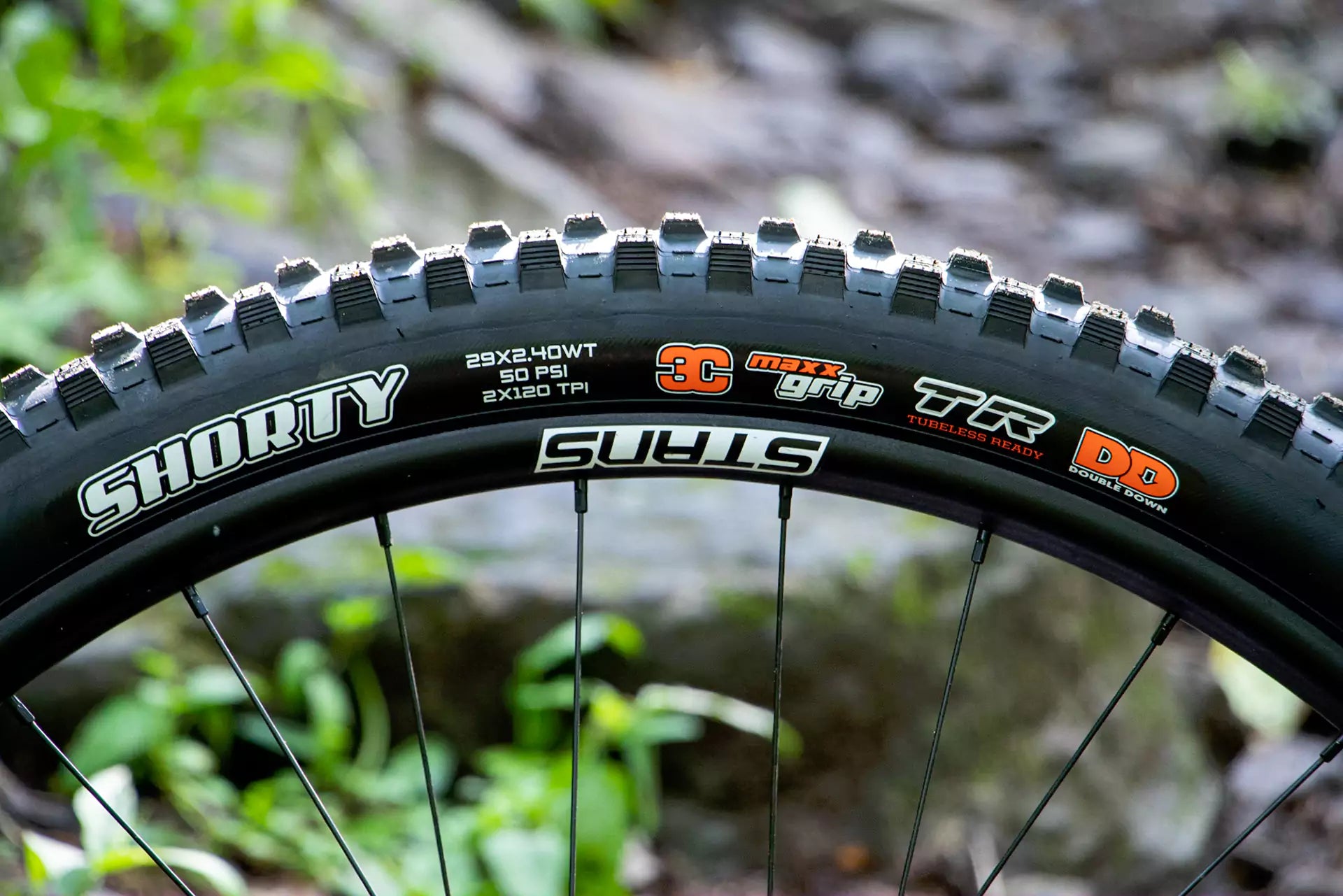 maxxis tr