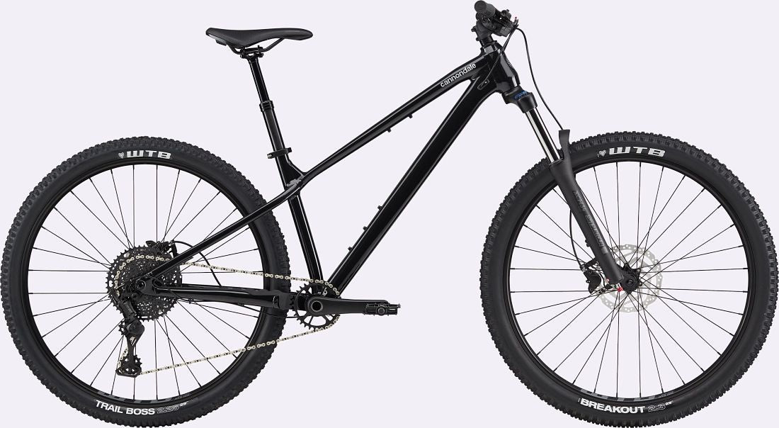 Cannondale mountain sales