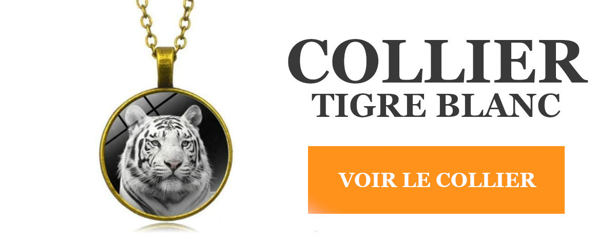 Le Tigre Trisomique L Empire Du Tigre