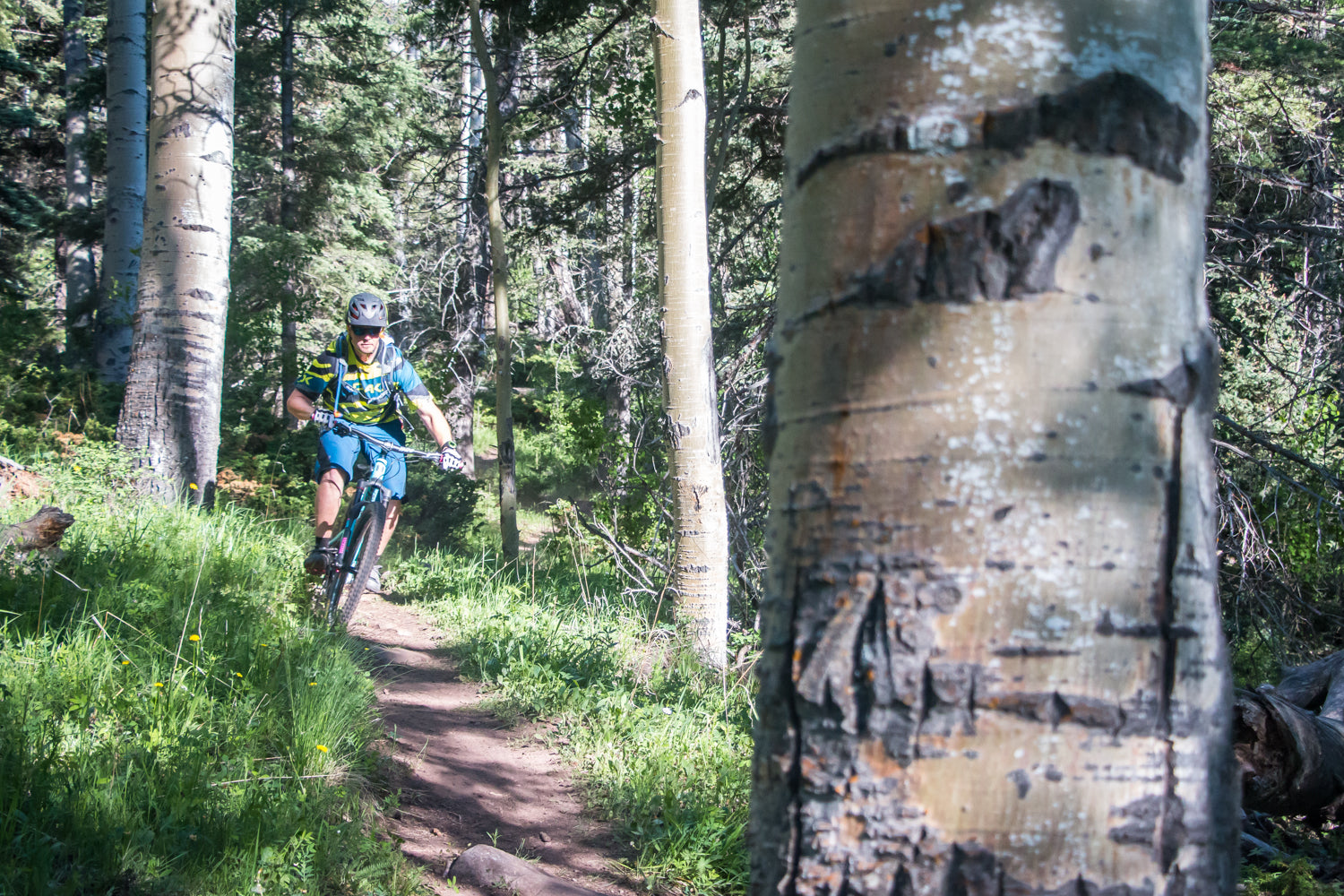 Chasing Epic MTB Adventures: Angel Fire New Mexico