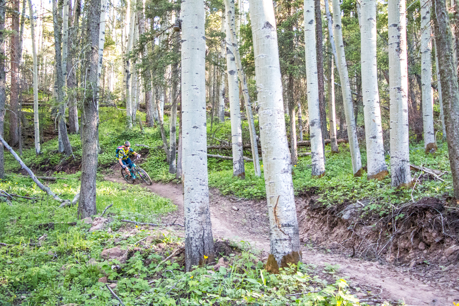 Chasing Epic MTB Adventures: Angel Fire, New Mexico