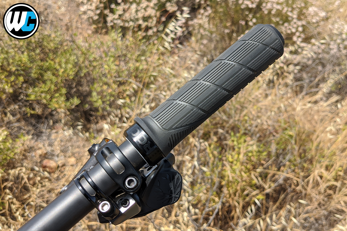 Ergon GD1 Evo Grips Review