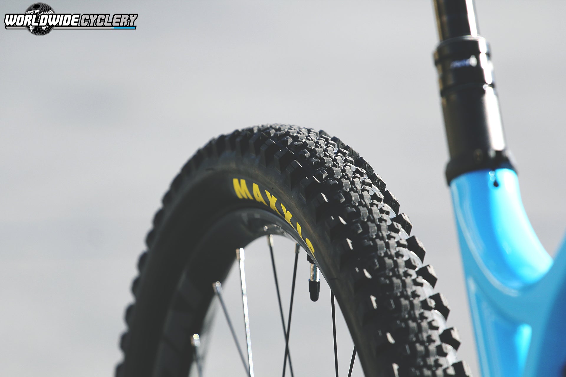 best rear tire mtb