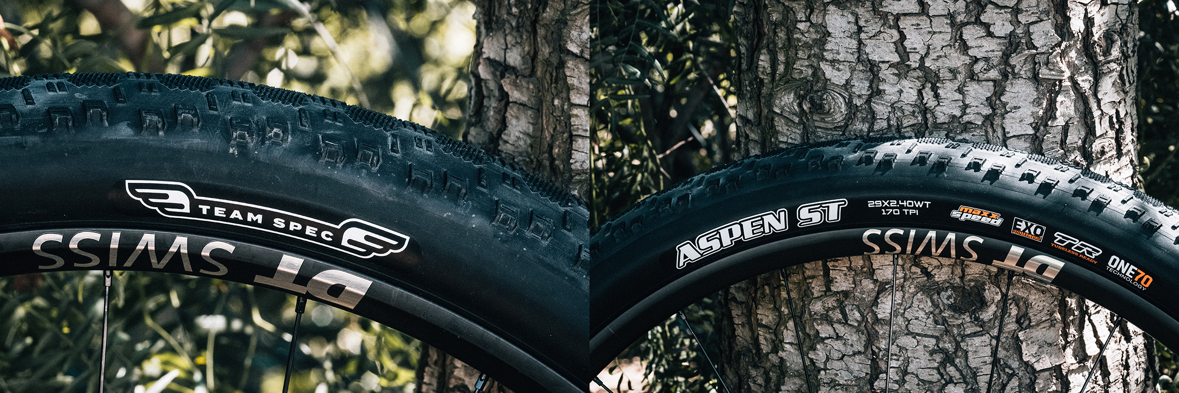 Maxxis Aspen ST & Maxxis Team Spec Tires