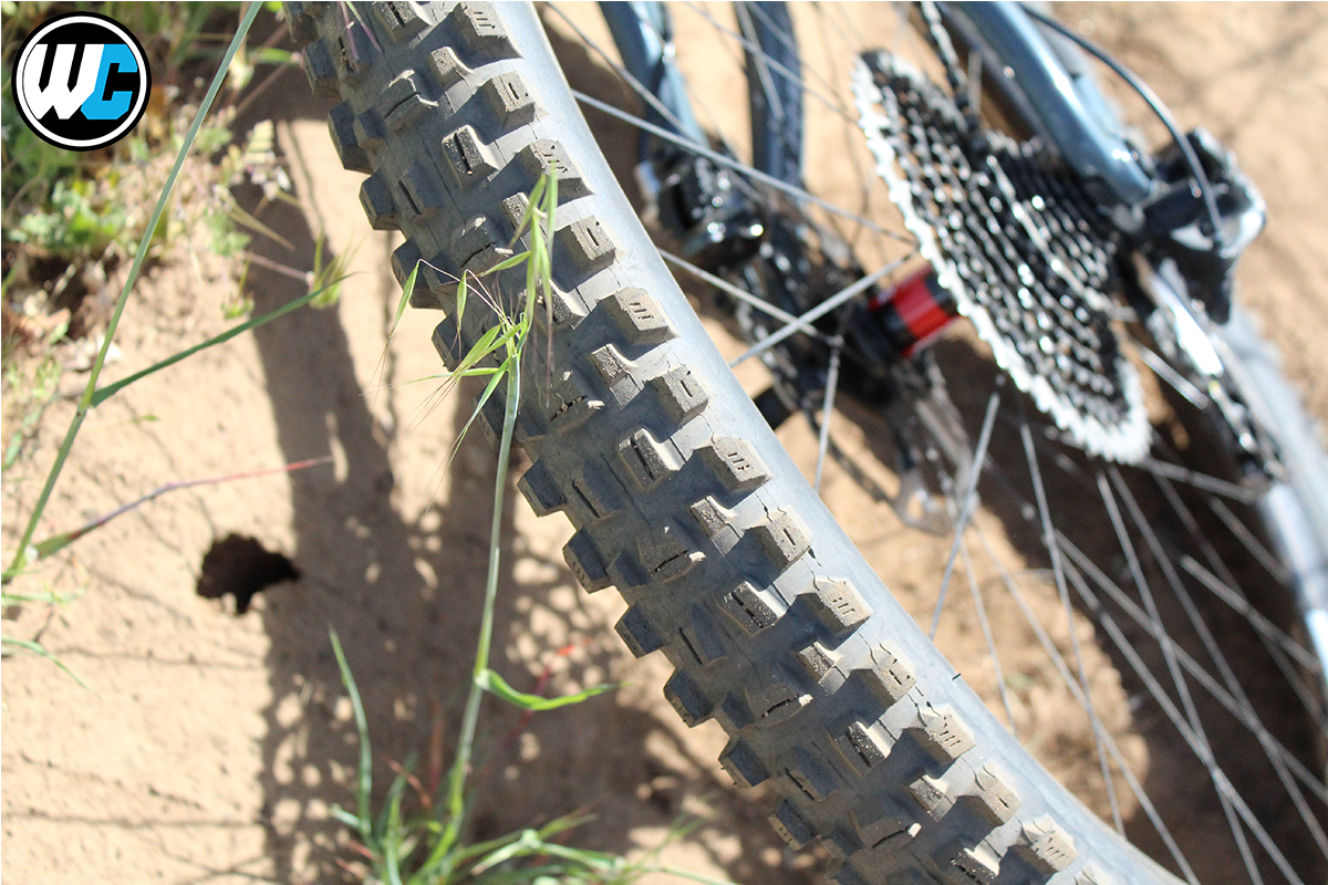 Maxxis Assegai Tire