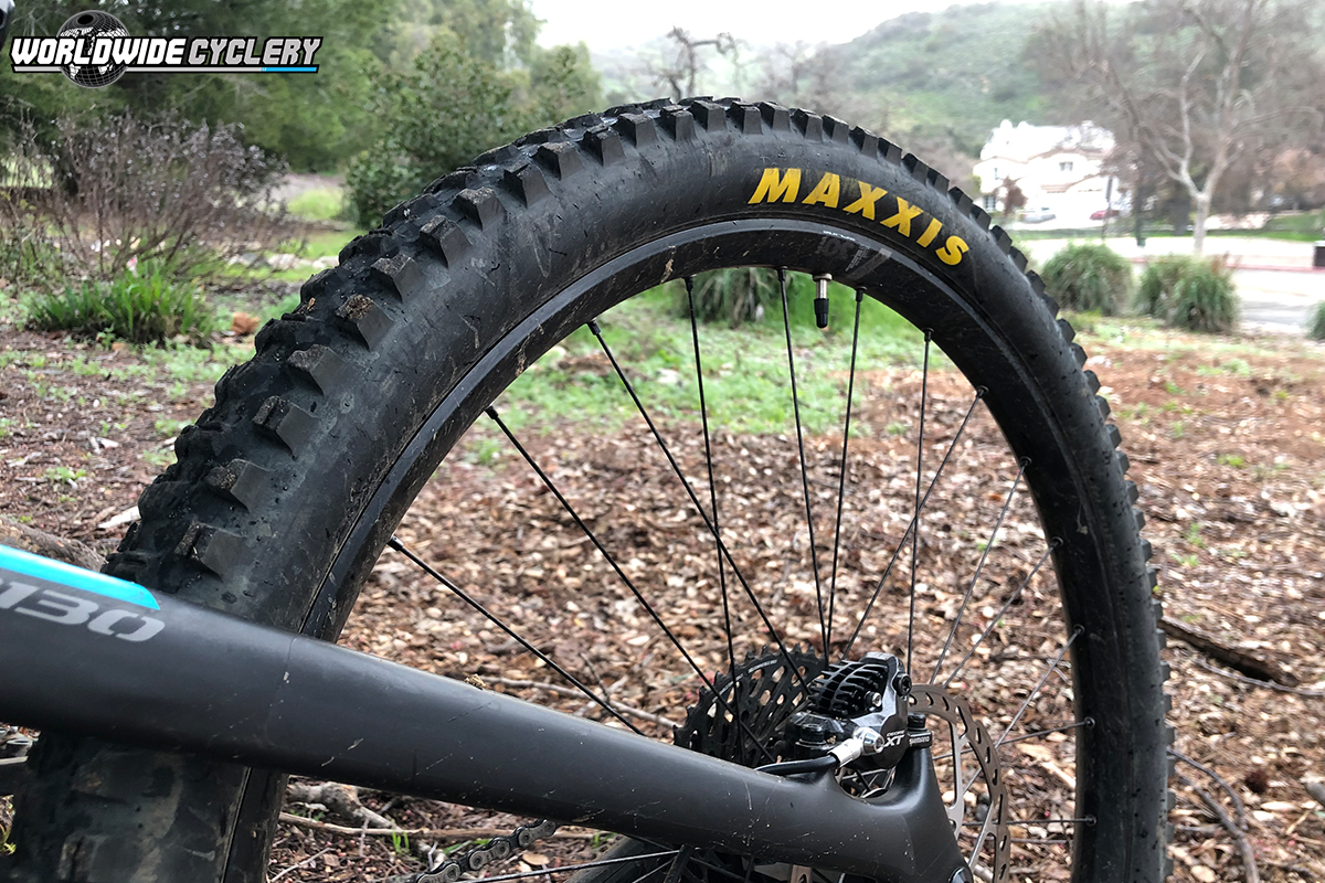 Maxxis DHF/DHRII EXO+ Tire Review: Employee Review