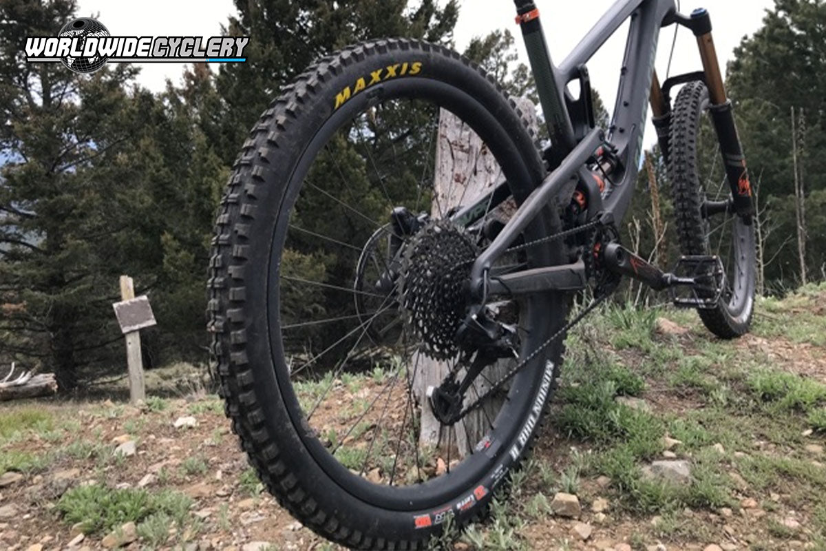 Maxxis Minion DHR II Tire Rider Review