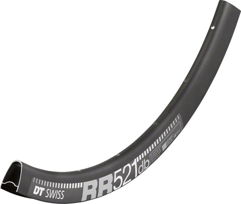 DT Swiss XR 391 29 Tubeless-Ready Disc Rim 32h Squorx Nipples Rim