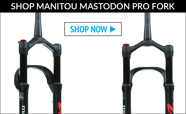 mastodon pro fork