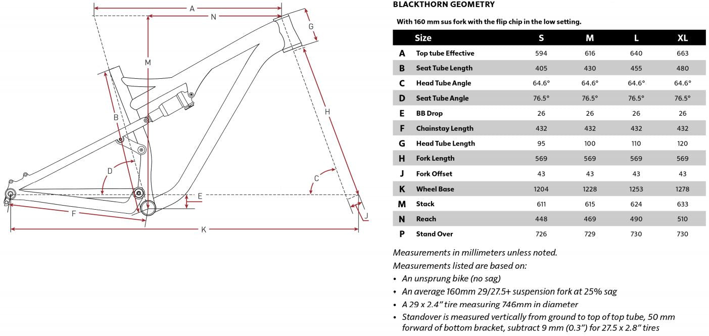 Salsa Blackthorn Geometry