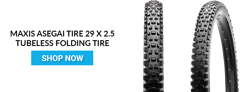 Shop Maxxis Assegai Tire 29 x 2.5 Tubeless Folding 