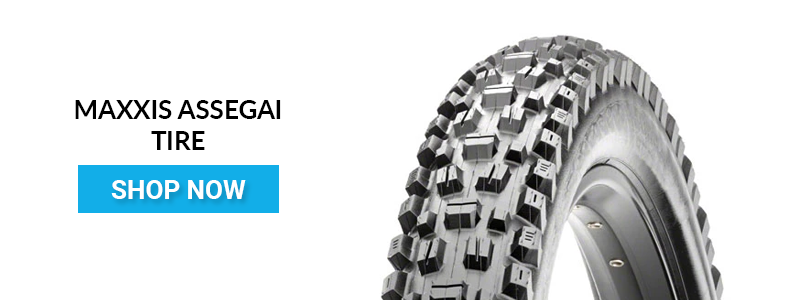 Shop Maxxis Assegai Tires