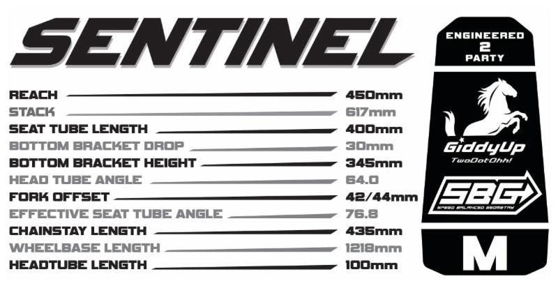 Transition Sentinel Geometry