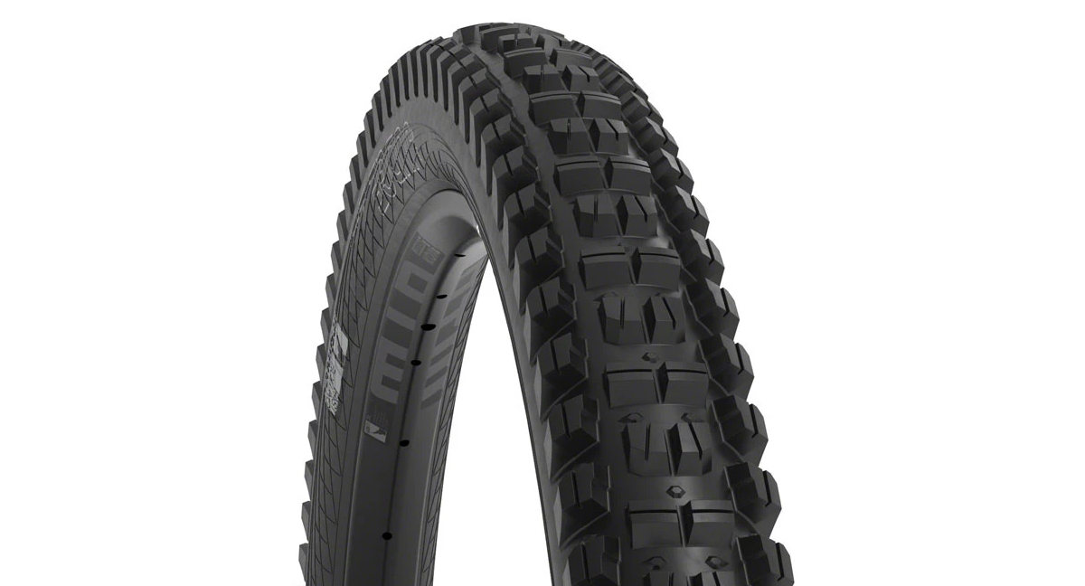 WTB Judge Tire