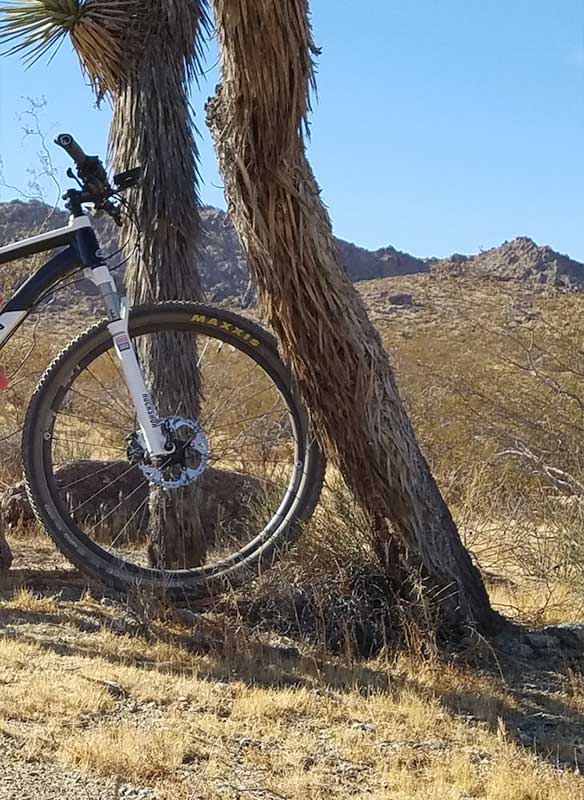 Industry Nine Trail S Wheelset Review