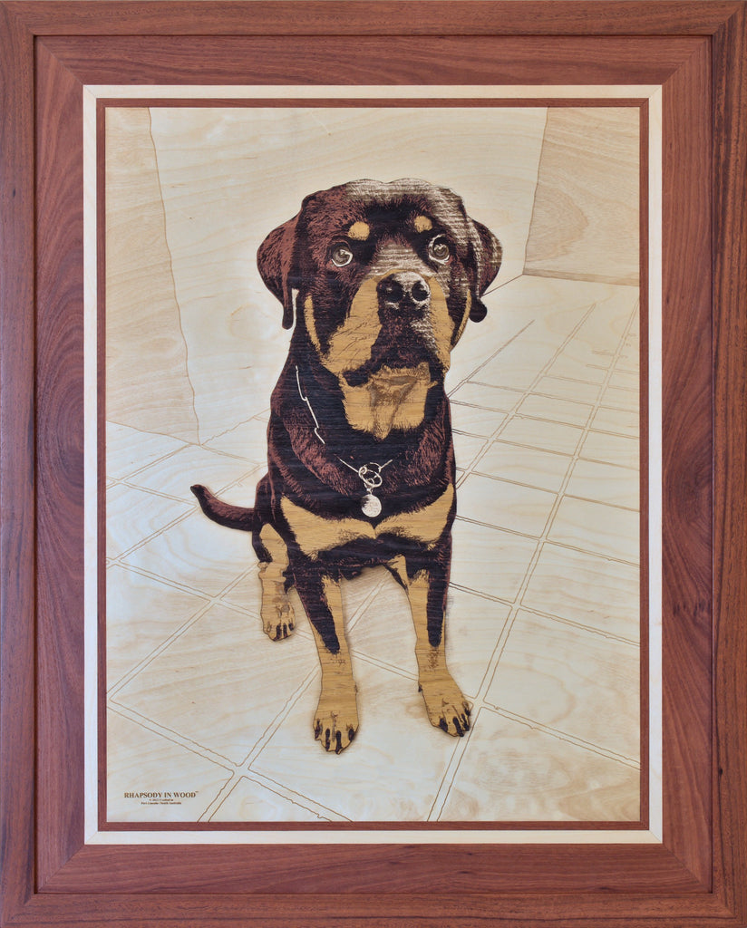 Rottweiler Puppy Portrait