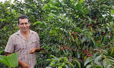 Honduran coffee farmer Homer Alarcón Gayoso 
